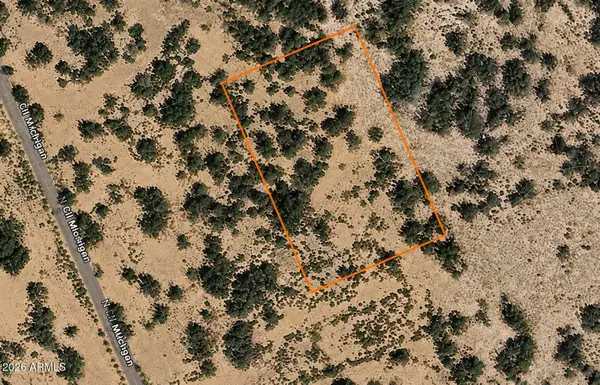 0 W Cochise -- #78, Cochise, AZ 85606