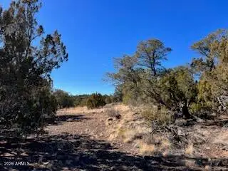Lot 1C N8689 -- #1C, Concho, AZ 85924 - #2
