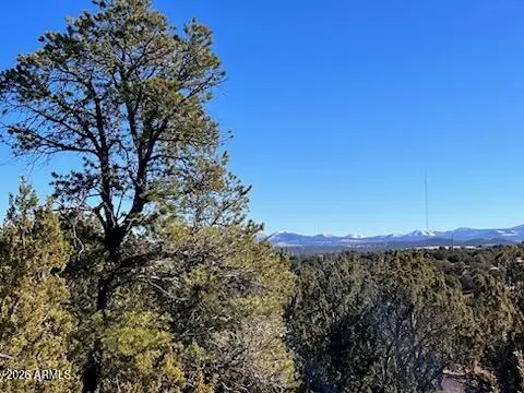 Lot 1C N8689 -- #1C, Concho, AZ 85924 - #3