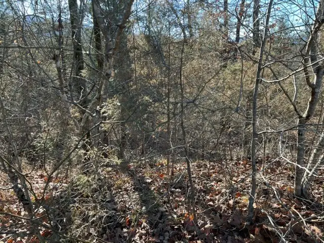 #3