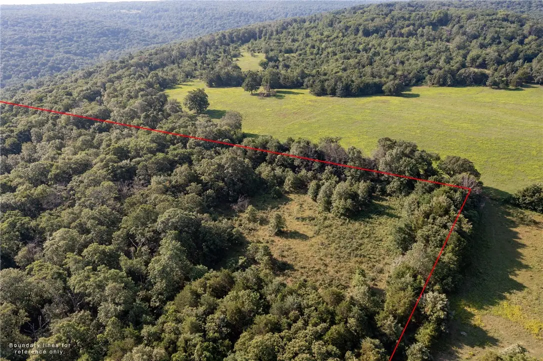 22132 Ray Wc 4425 Road, Natural Dam, AR 72948 - #1