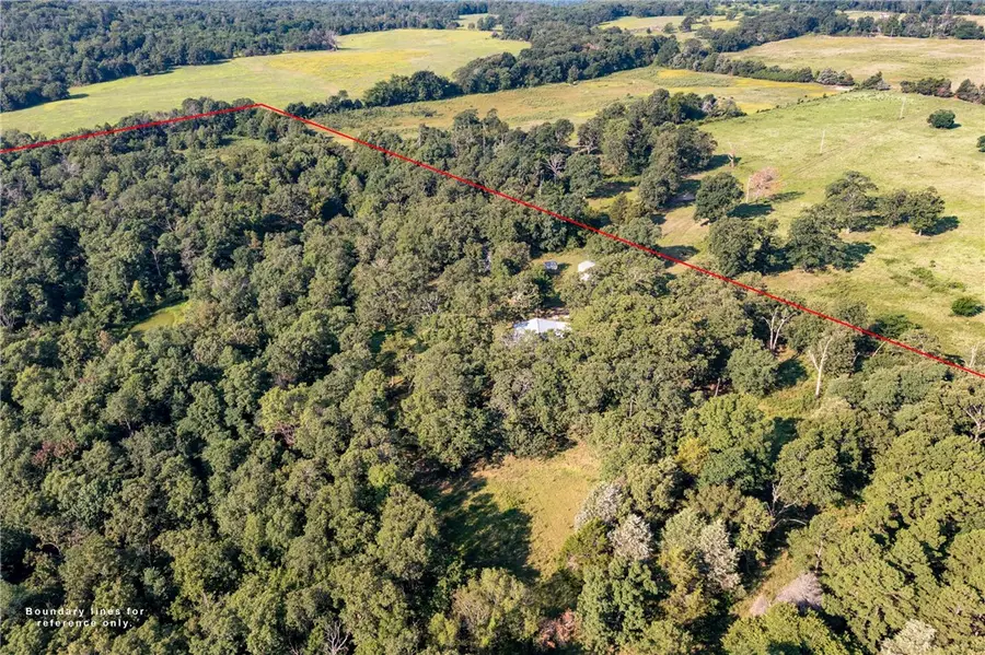 22132 Ray Wc 4425 Road, Natural Dam, AR 72948 - #2