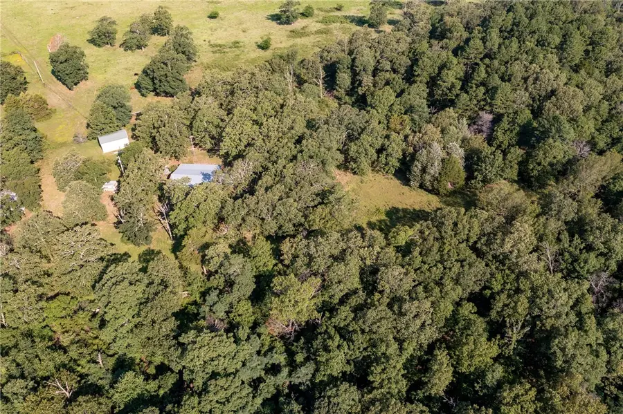 22132 Ray Wc 4425 Road, Natural Dam, AR 72948 - #3