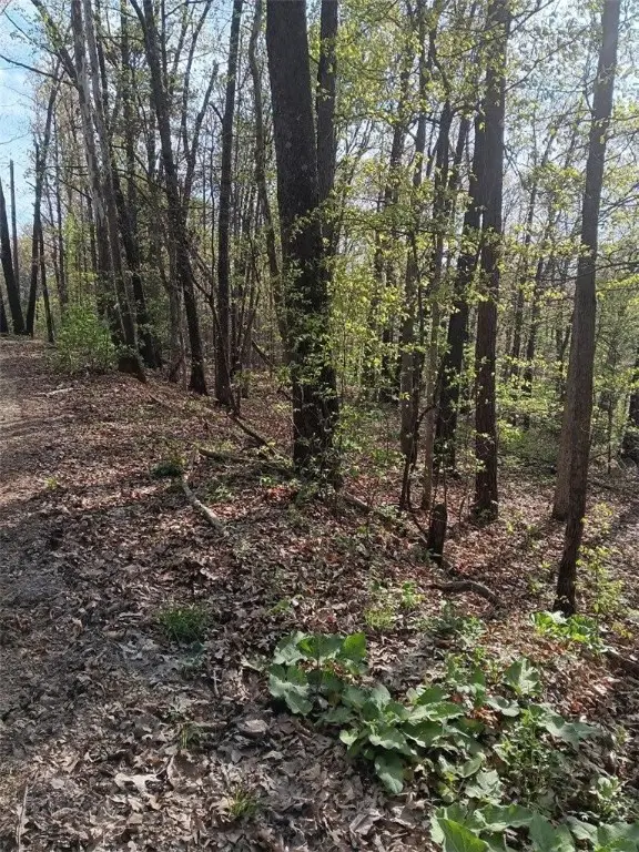 LOT 30 St. Ives Circle, Bella Vista, AR 72714