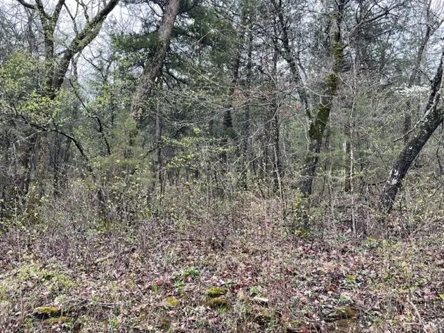 #3