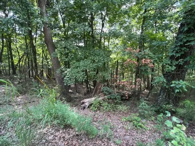 #3