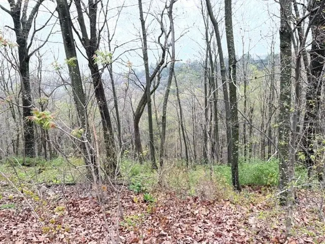 #2