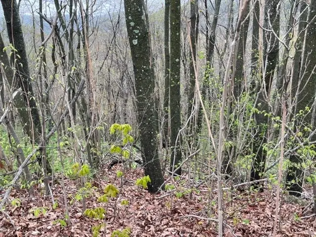 #3