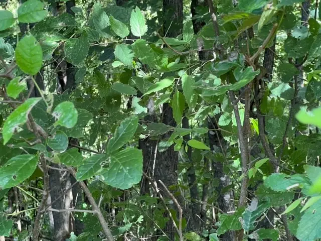 #3