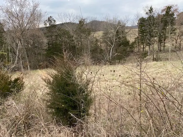 #3