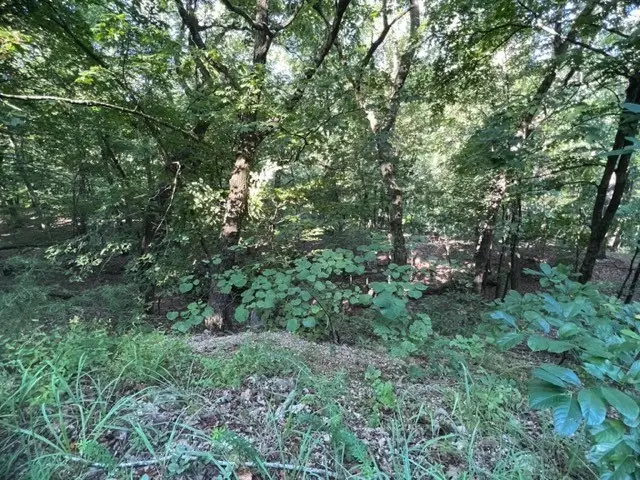 #3