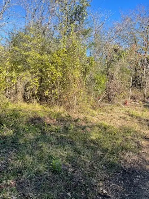 TBD Goff Circle, Dyer, AR 72921 - #3