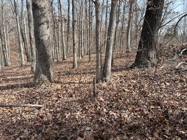 #3