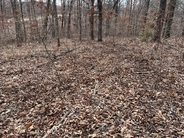 #3