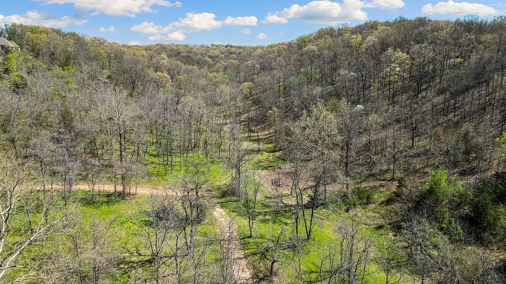 000 Paradise Lane, Pineville, MO 64856 - Image #1