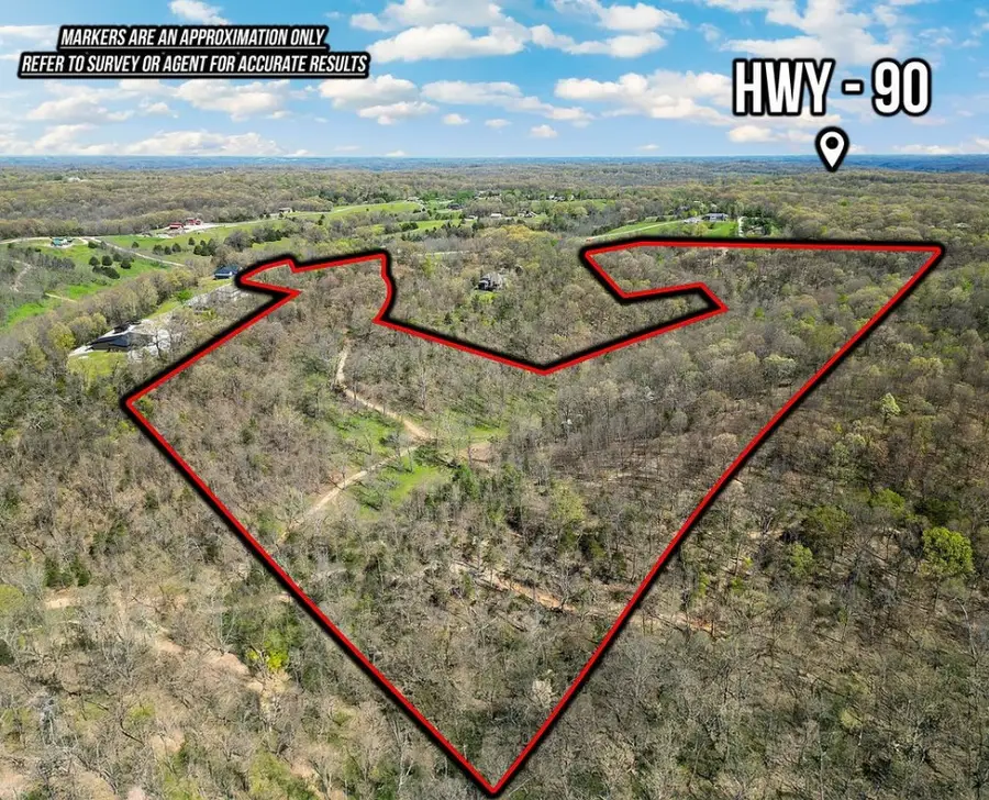 000 Paradise Lane, Pineville, MO 64856 - Image #2