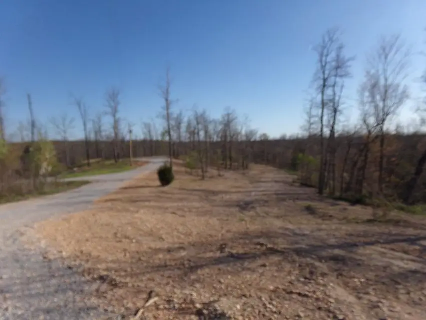 000 Freemont, Pineville, MO 64856 - Image #2