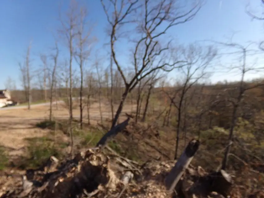 000 Freemont, Pineville, MO 64856 - Image #3