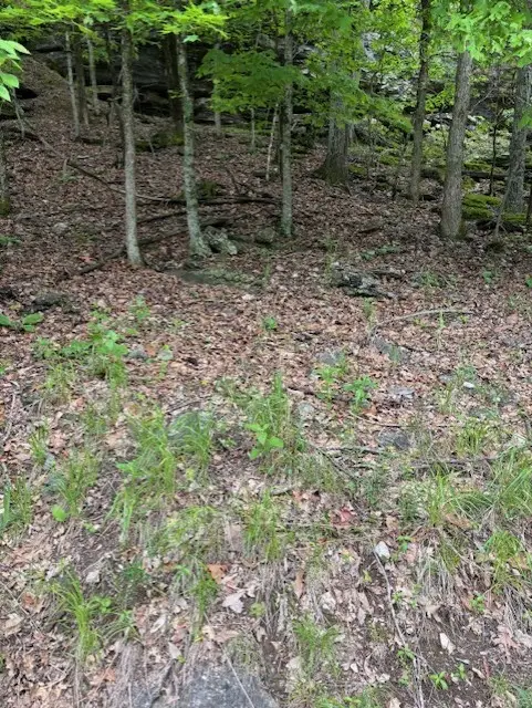 #3