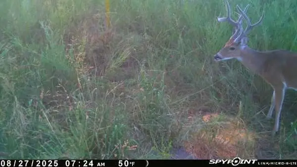 TBD Twin Fork Drive, Sugar Loaf, AR 72601 - #3