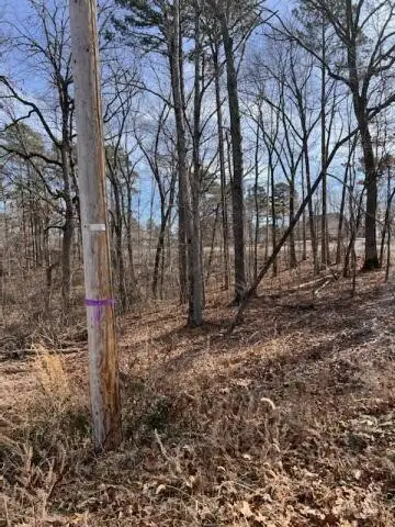 #3