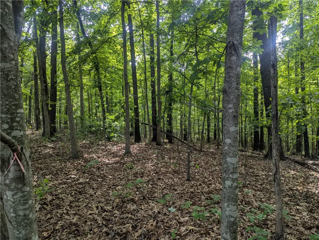 12 Selkirk Circle, Bella Vista, AR 72715 - #1