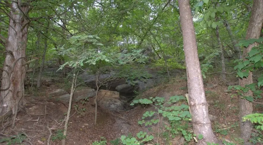 10.75 Acres Younkers Lane, Noel, MO 64854 - Image #3