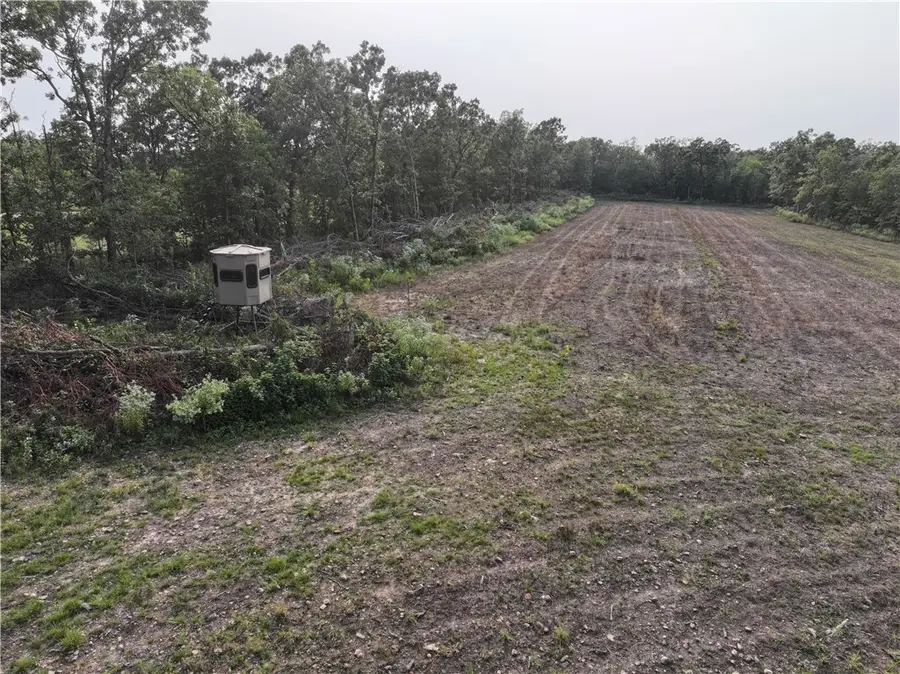 TBD Tract 1 Old 60 Drive, Seneca Township, MO 64865 - Image #2