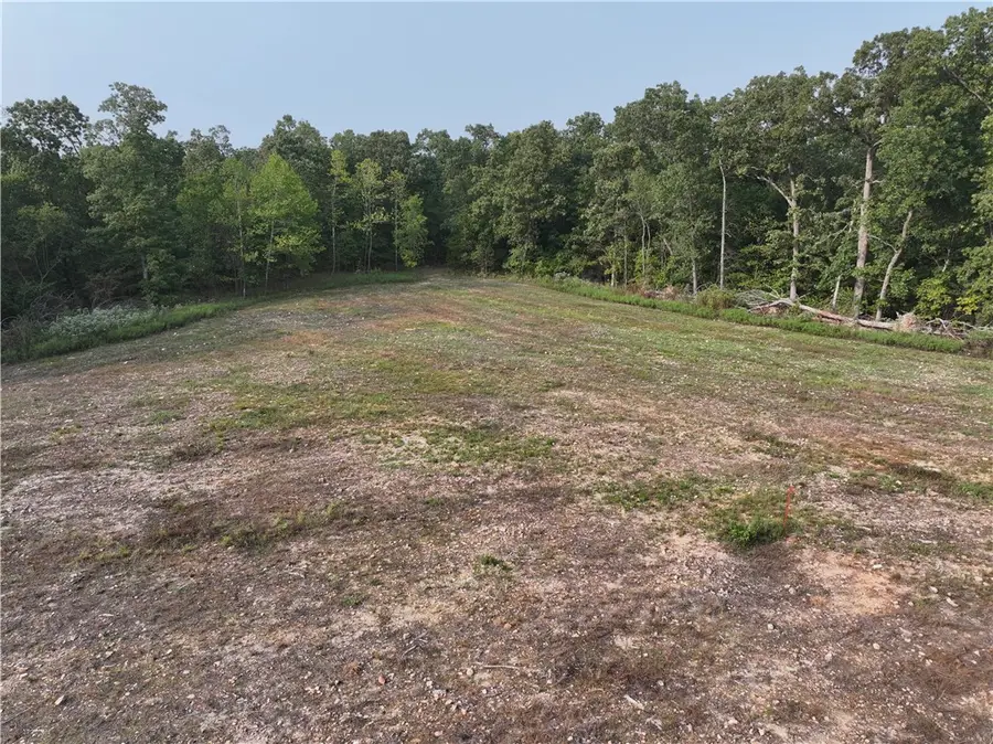 TBD Tract 1 Old 60 Drive, Seneca Township, MO 64865 - Image #3