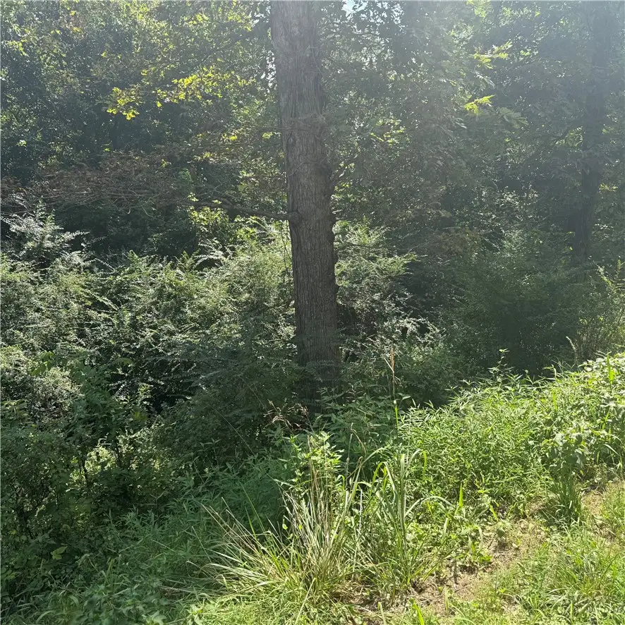 Address Withheld By Seller, Rogers, AR 72758 - #2