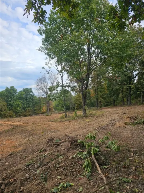 14416 & 14425 True Love Road, West Fork, AR 72774 - Image #2