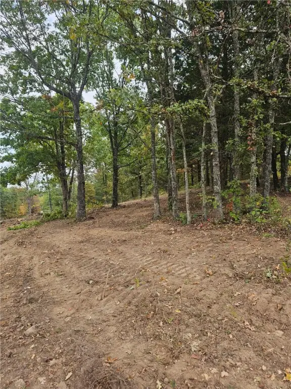 14416 & 14425 True Love Road, West Fork, AR 72774 - Image #3