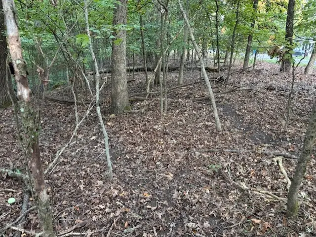 #3