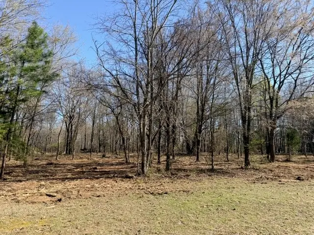 13668 Tally Gate Road, Springdale, AR 72762 - #3