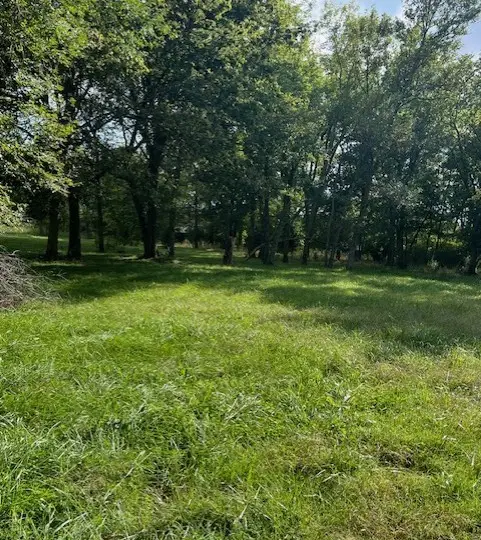 1498 Viney Grove Road, Prairie Grove, AR 72753 - Image #2