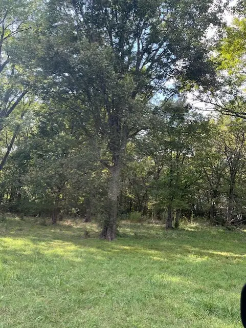 1498 Viney Grove Road, Prairie Grove, AR 72753 - Image #3