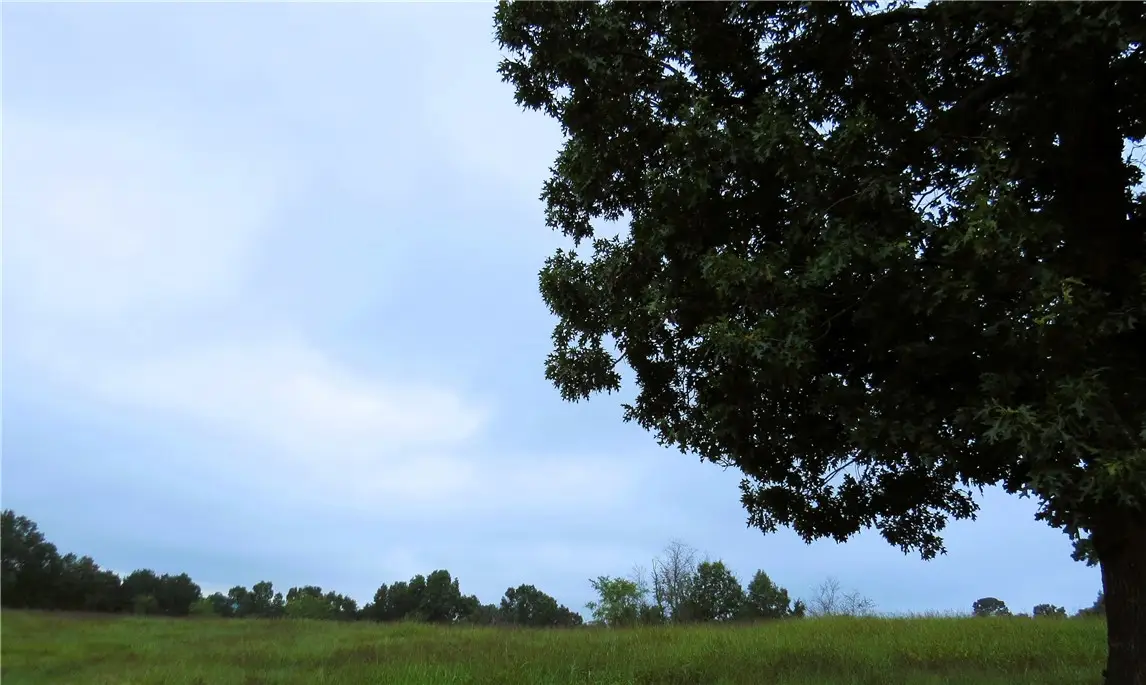 000 Mountain Ridge Drive, Noel, MO 64854 - Image #1