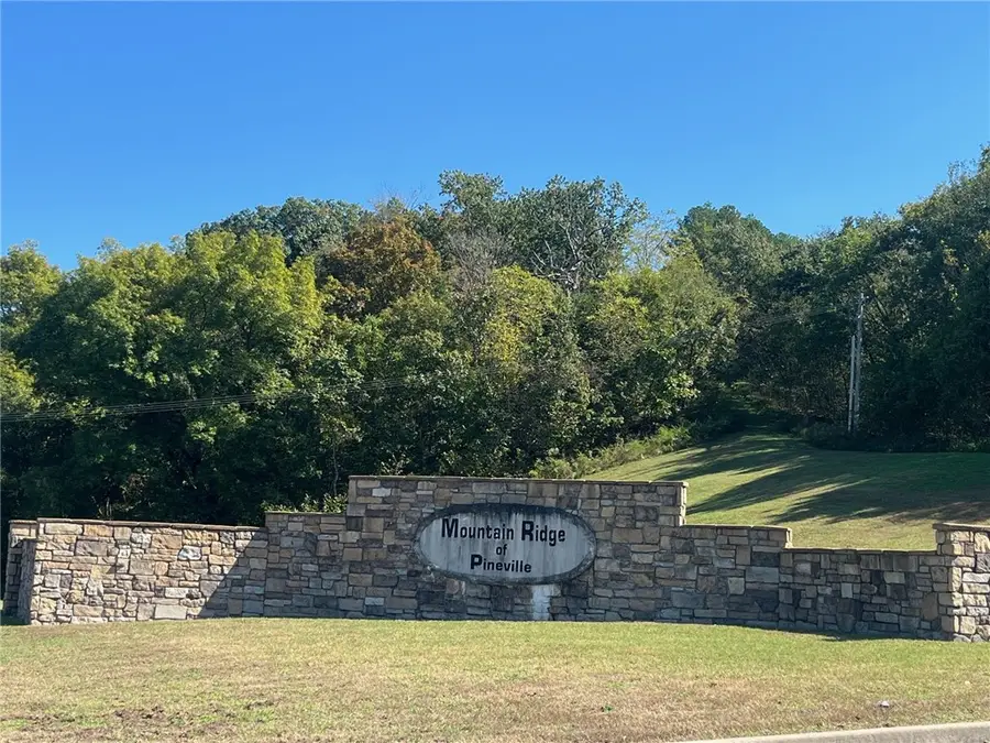 000 Mountain Ridge Drive, Noel, MO 64854 - Image #2