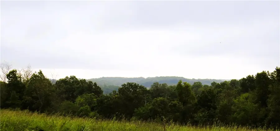 000 Mountain Ridge Drive, Noel, MO 64854 - Image #3