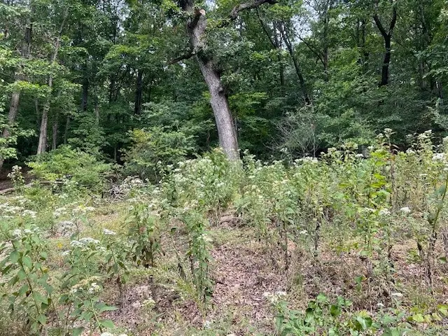 47 Cove Lane, Holiday Island, AR 72631 - #3