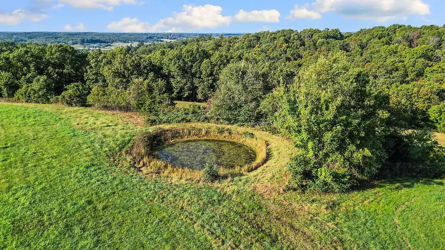 253 Raven Road, Noel, MO 64854 - Image #3