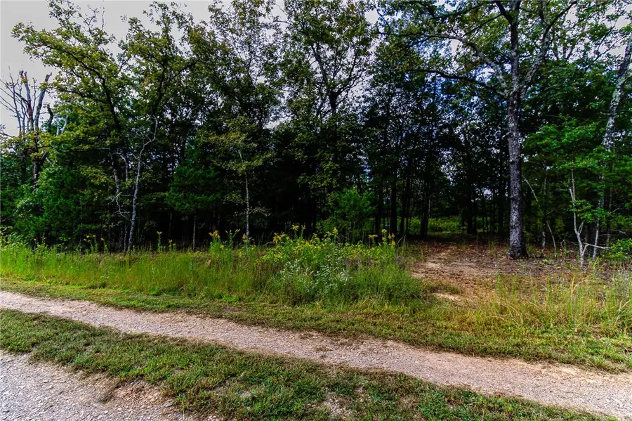 527 Thompson Bay Road, New Blaine, AR 72851 - Image #3