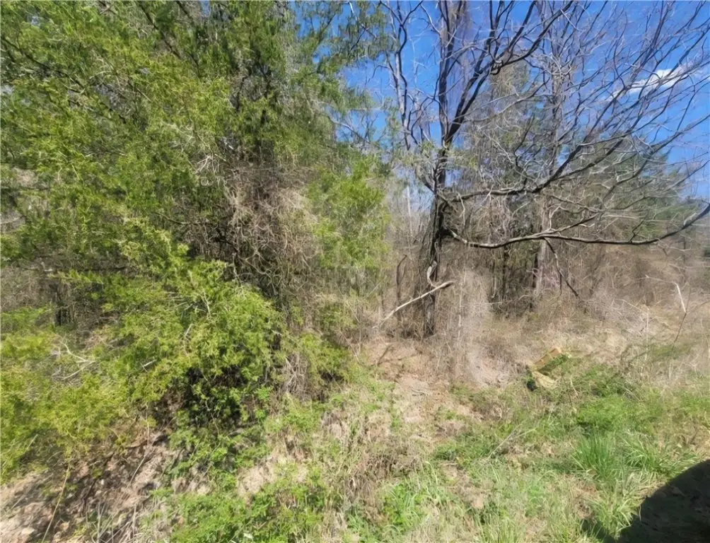 5 acres Diamondback Lane, Hartford, AR 72938 - Image #1
