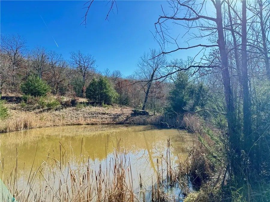 TBD Madison 7670, Hindsville, AR 72738 - Image #3