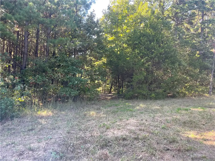 Augsburg Road, Bayliss, AR 72801 - Image #2