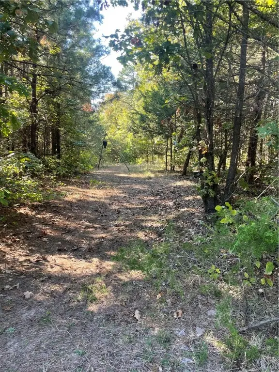 Augsburg Road, Bayliss, AR 72801 - Image #3