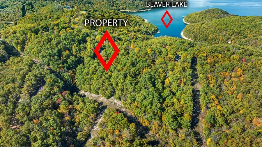 Tract 1  1601 Mundell Road, Eureka Springs, AR 72631 - Image #2