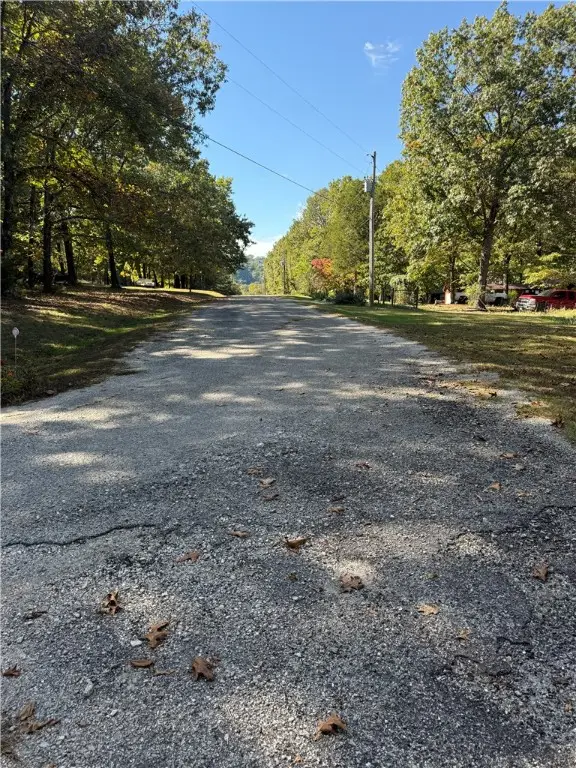 TBD Fr 1263, Golden, MO 65658 - Image #3