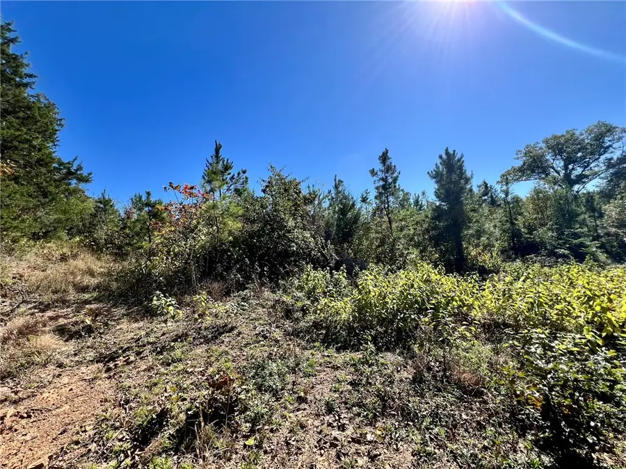 1011 Granny Hollar Road, Atkins, AR 72823 - Image #3