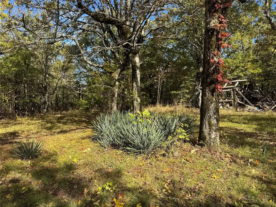 TBD 2 AC Ar 7 South, Pelsor, AR 72856 - Image #3